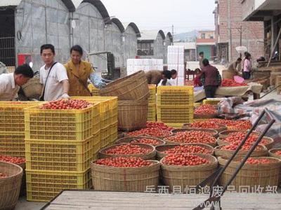供應恒鴻優(yōu)質(zhì)農(nóng)副產(chǎn)品批發(fā)——岳西縣恒鴻廢品回收部農(nóng)副產(chǎn)品業(yè)務介紹