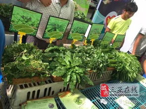 三亞市扶貧農(nóng)產(chǎn)品展銷會 農(nóng)副產(chǎn)品引圍觀，創(chuàng)意無限人潮涌動