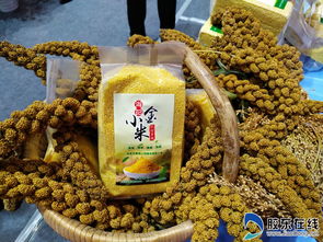 高清圖美翻了！果蔬會上奇瓜異果引爆眼球，農副產品煥發(fā)新光彩