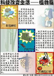 高校技術轉(zhuǎn)讓機構建設 推動科技成果轉(zhuǎn)化的關鍵路徑