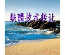 產(chǎn)品庫技術轉(zhuǎn)讓 優(yōu)勢、要點與實施策略